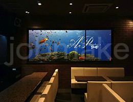 Member’s AP (メンバーズ アープ) 2016-11-23の新着ニュース